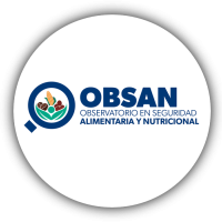 Observatorio Universitario en Seguridad Alimentaria y Nutricional (OBSAN)
